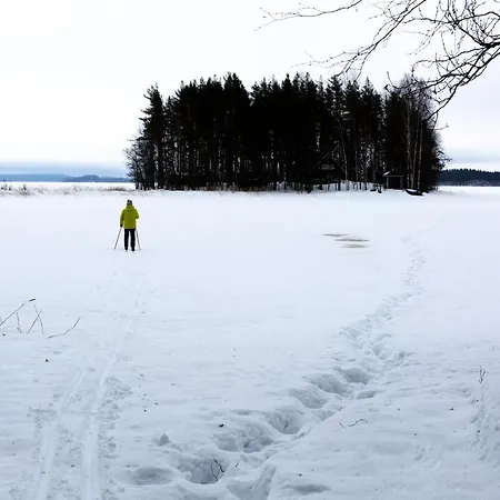 Hakoniemi Alpesi faház *