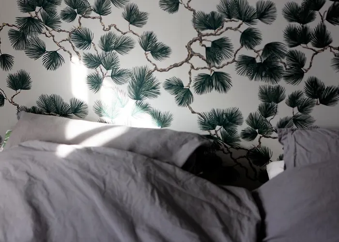 Hakoniemi * Oravisalo