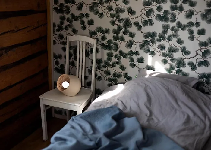 Hakoniemi Σαλέ Oravisalo