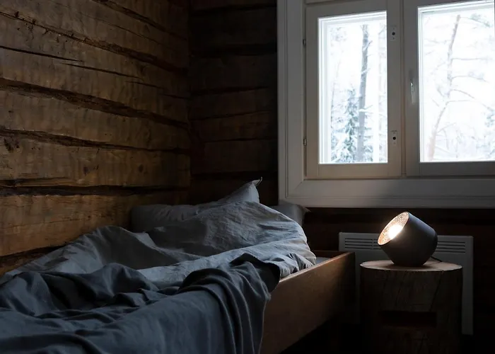 Hakoniemi 木屋 Oravisalo