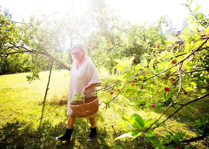 Σαλέ Hakoniemi Oravisalo