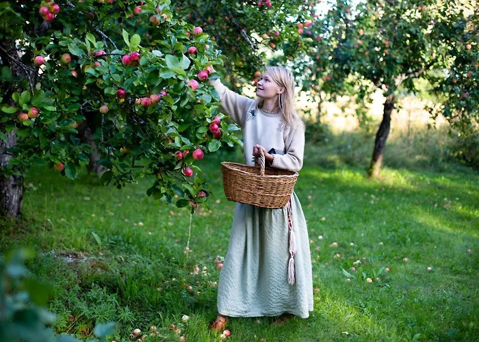 Σαλέ Hakoniemi Oravisalo