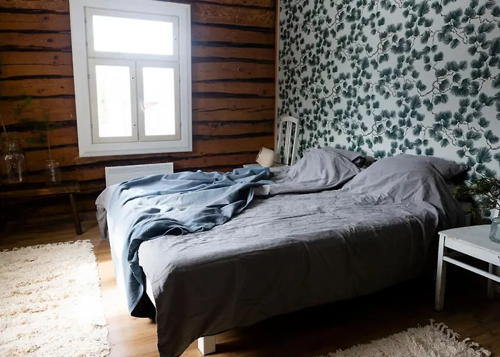 木屋 Hakoniemi Oravisalo